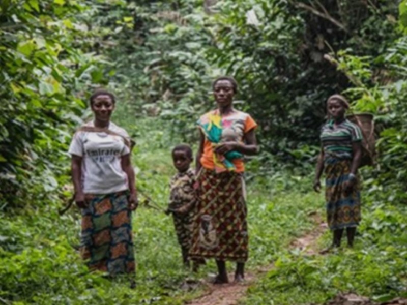 Bassin du Congo : 395 millions $ investis par la Banque mondiale  pour transformer l’économie forestière  