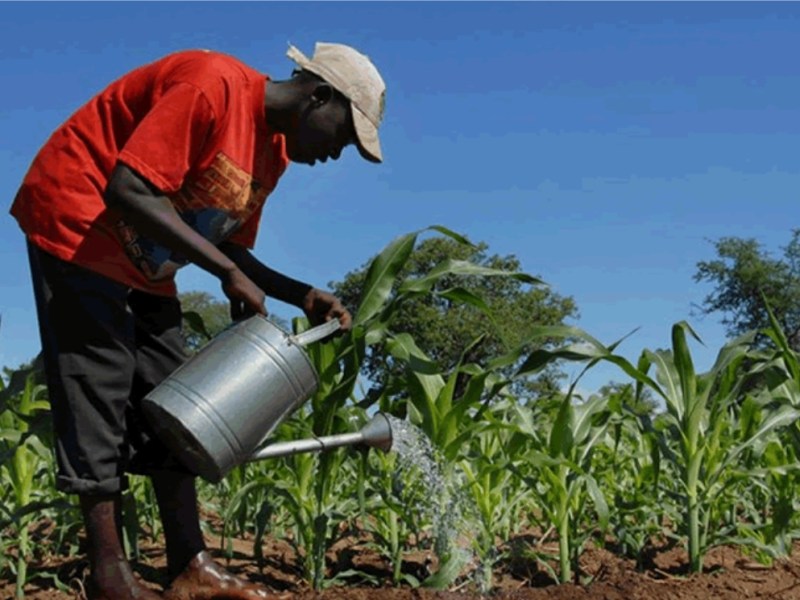 Congo : Quatre secteurs ciblés pour attirer 1,4 milliard de dollars d’investissements d’ici&nbsp;2030